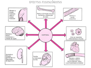 EFEITOS FISIOLÓGICOS
 