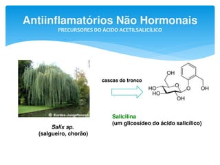 Antiinflamatórios Não Hormonais
PRECURSORES DO ÁCIDO ACETILSALICÍLICO
Salix sp.
(salgueiro, chorão)
cascas do tronco
Salicilina
(um glicosídeo do ácido salicílico)
 