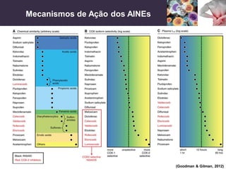 Mecanismos de Ação dos AINEs
(Goodman & Gilman, 2012)
 