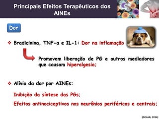 Principais Efeitos Terapêuticos dos
AINEs
(GOLAN, 2014)
 Bradicinina, TNF-α e IL-1: Dor na inflamação
Promovem liberação de PG e outros mediadores
que causam hiperalgesia;
 Alívio da dor por AINEs:
Inibição da síntese das PGs;
Efeitos antinociceptivos nos neurônios periféricos e centrais;
Dor
 