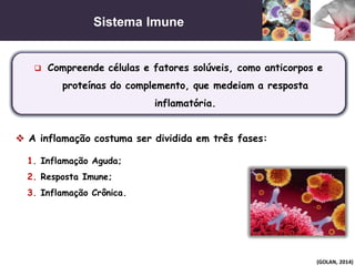 Sistema Imune
(GOLAN, 2014)
 Compreende células e fatores solúveis, como anticorpos e
proteínas do complemento, que medeiam a resposta
inflamatória.
 A inflamação costuma ser dividida em três fases:
1. Inflamação Aguda;
2. Resposta Imune;
3. Inflamação Crônica.
 
