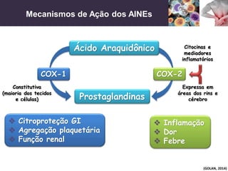 Mecanismos de Ação dos AINEs
(GOLAN, 2014)
Ácido Araquidônico
COX-1 COX-2
Constitutiva
(maioria dos tecidos
e células)
Citocinas e
mediadores
inflamatórios
 Citroproteção GI
 Agregação plaquetária
 Função renal
 Inflamação
 Dor
 Febre
Prostaglandinas
Expressa em
áreas dos rins e
cérebro
 