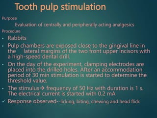 Tooth pulp stimulation
Purpose
Evaluation of centrally and peripherally acting analgesics
Procedure
• Rabbits
• Pulp chambers are exposed close to the gingival line in
the lateral margins of the two front upper incisors with
a high-speed dental drill.
• On the day of the experiment, clamping electrodes are
placed into the drilled holes. After an accommodation
period of 30 min stimulation is started to determine the
threshold value.
• The stimulus frequency of 50 Hz with duration is 1 s.
The electrical current is started with 0.2 mA
 Response observed--licking, biting, chewing and head flick
 
