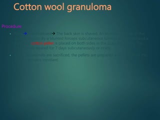 Cotton wool granuloma
Procedure
• Rats anaesthetized The back skin is shaved. An incision is made in the
lumbar region. By a blunted forceps subcutaneous tunnels are formed and a
sterilized cotton pellet is placed on both sides in the scapular region. The
animals are treated for 7 days subcutaneously or orally.
• Than, the animals are sacrificed, the pellets are prepared and dried until the
weight remains constant.
 