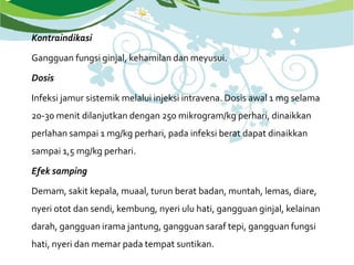 Kontraindikasi
Gangguan fungsi ginjal, kehamilan dan meyusui.
Dosis
Infeksi jamur sistemik melalui injeksi intravena. Dosis awal 1 mg selama
20-30 menit dilanjutkan dengan 250 mikrogram/kg perhari, dinaikkan
perlahan sampai 1 mg/kg perhari, pada infeksi berat dapat dinaikkan
sampai 1,5 mg/kg perhari.
Efek samping
Demam, sakit kepala, muaal, turun berat badan, muntah, lemas, diare,
nyeri otot dan sendi, kembung, nyeri ulu hati, gangguan ginjal, kelainan
darah, gangguan irama jantung, gangguan saraf tepi, gangguan fungsi
hati, nyeri dan memar pada tempat suntikan.
 