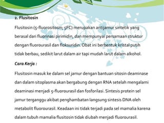 2. Flusitosin
Flusitosin (5-fluorositosin; 5FC) merupakan antijamur sintetik yang
berasal dari fluorinasi pirimidin, dan mempunyai persamaan struktur
dengan fluorourasil dan floksuridin. Obat ini berbentuk kristal putih
tidak berbau, sedikit larut dalam air tapi mudah larut dalam alkohol.
Cara Kerja :
Flusitosin masuk ke dalam sel jamur dengan bantuan sitosin deaminase
dan dalam sitoplasma akan bergabung dengan RNA setelah mengalami
deaminasi menjadi 5-fluorourasil dan fosforilasi. Sintesis protein sel
jamur terganggu akibat penghambatan Iangsung sintesis DNA oleh
metabolit fluorourasil. Keadaan ini tidak terjadi pada sel mamalia karena
dalam tubuh mamalia flusitosin tidak diubah menjadi fluorourasil.
 