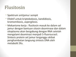 Flusitosin
• Spektrum antijamur sempit
• Efektif untuk kriptokokosis, kandidiosis,
kromomikosis, aspergilosis.
• Mekanisme kerja : flusitosin masuk ke dalam sel
jamur dengan bantuan sitosin deaminase dan dalam
sitoplasma akan bergabung dengan RNA setelah
mengalami deaminasi menjadi 5-fluorourasil.
Sintesis protein sel jamur terganggu akibat
penghambatan langsung sintesis DNA oleh
metabolit 5fu.
 