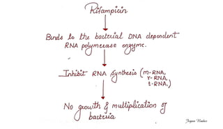 file:///tmp/mozilla_sjipr
staff0/New%20Doc%2
02019-10-
15%2012.01.51_5.jpg
Jegan Nadar
 