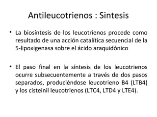 Antileucotrienos : Sintesis
• La biosíntesis de los leucotrienos procede como
  resultado de una acción catalítica secuencial de la
  5-lipoxigenasa sobre el ácido araquidónico

• El paso final en la síntesis de los leucotrienos
  ocurre subsecuentemente a través de dos pasos
  separados, produciéndose leucotrieno B4 (LTB4)
  y los cisteinil leucotrienos (LTC4, LTD4 y LTE4).
 