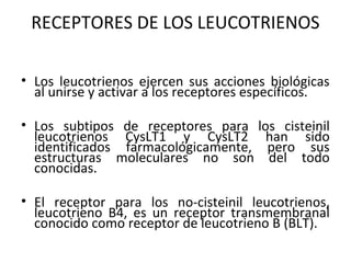 RECEPTORES DE LOS LEUCOTRIENOS

• Los leucotrienos ejercen sus acciones biológicas
  al unirse y activar a los receptores específicos.

• Los subtipos de receptores para los cisteinil
  leucotrienos CysLT1 y CysLT2 han sido
  identificados farmacológicamente, pero sus
  estructuras moleculares no son del todo
  conocidas.

• El receptor para los no-cisteinil leucotrienos,
  leucotrieno B4, es un receptor transmembranal
  conocido como receptor de leucotrieno B (BLT).
 