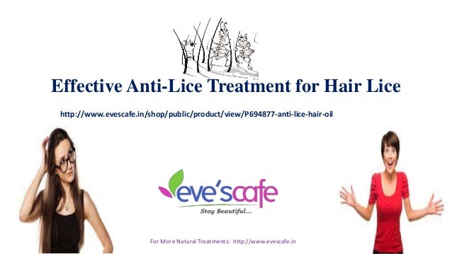 Effective Anti Lice Treatment For Hair Lice Evescafe