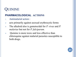 QUININE
PHARMACOLOGICAL ACTIONS
1. Antimalarial action :
 acts primarily against asexual erythrocytic forms
 The alkaloid also is gametocidal for P. vivax and P.
malariae but not for P. falciparum.
 Quinine is more toxic and less effective than
chloroquine against malarial parasites susceptible to
both drugs.
23
 