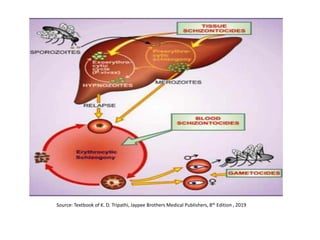 Source: Textbook of K. D. Tripathi, Jaypee Brothers Medical Publishers, 8th Edition , 2019
 