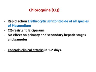 Chloroquine (CQ)
- Rapid action Erythrocytic schizontocide of all species
of Plasmodium
- CQ-resistant falciparum
- No effect on primary and secondary hepatic stages
and gametes
- Controls clinical attacks in 1-2 days.
 