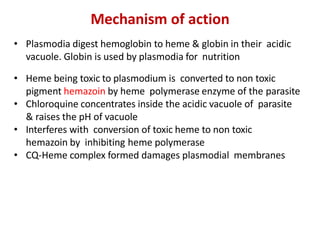 Mechanism of action
• Plasmodia digest hemoglobin to heme & globin in their acidic
vacuole. Globin is used by plasmodia for nutrition
• Heme being toxic to plasmodium is converted to non toxic
pigment hemazoin by heme polymerase enzyme of the parasite
• Chloroquine concentrates inside the acidic vacuole of parasite
& raises the pH of vacuole
• Interferes with conversion of toxic heme to non toxic
hemazoin by inhibiting heme polymerase
• CQ-Heme complex formed damages plasmodial membranes
 