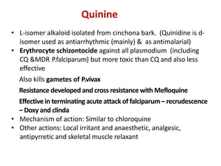 Quinine
• L-isomer alkaloid isolated from cinchona bark. (Quinidine is d-
isomer used as antiarrhythmic (mainly) & as antimalarial)
• Erythrocyte schizontocide against all plasmodium (including
CQ &MDR P.falciparum) but more toxic than CQ and also less
effective
Also kills gametes of P.vivax
Resistance developed and cross resistance with Mefloquine
Effective in terminating acute attack of falciparum – recrudescence
– Doxy and clinda
• Mechanism of action: Similar to chloroquine
• Other actions: Local irritant and anaesthetic, analgesic,
antipyrretic and skeletal muscle relaxant
 