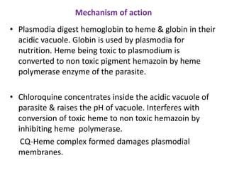Mechanism of action
• Plasmodia digest hemoglobin to heme & globin in their
acidic vacuole. Globin is used by plasmodia for
nutrition. Heme being toxic to plasmodium is
converted to non toxic pigment hemazoin by heme
polymerase enzyme of the parasite.
• Chloroquine concentrates inside the acidic vacuole of
parasite & raises the pH of vacuole. Interferes with
conversion of toxic heme to non toxic hemazoin by
inhibiting heme polymerase.
CQ-Heme complex formed damages plasmodial
membranes.
 