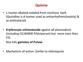 Quinine
• L-isomer alkaloid isolated from cinchona bark.
(Quinidine is d-isomer used as antiarrhythmic(mainly) &
as antimalarial)
• Erythrocyte schizontocide against all plasmodium
(including CQ &MDR P.falciparum) but more toxic than
CQ.
Also kills gametes of P.vivax
• Mechanism of action: Similar to chloroquine
 