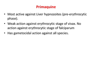 Primaquine
• Most active against Liver hypnozoites (pre-erythrocytic
phase).
• Weak action against erythrocytic stage of vivax. No
action against erythrocytic stage of falciparum
• Has gametocidal action against all species.
 