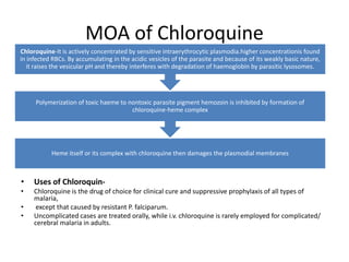 MOA of Chloroquine
• Uses of Chloroquin-
• Chloroquine is the drug of choice for clinical cure and suppressive prophylaxis of all types of
malaria,
• except that caused by resistant P. falciparum.
• Uncomplicated cases are treated orally, while i.v. chloroquine is rarely employed for complicated/
cerebral malaria in adults.
Heme itself or its complex with chloroquine then damages the plasmodial membranes
Polymerization of toxic haeme to nontoxic parasite pigment hemozoin is inhibited by formation of
chloroquine-heme complex
Chloroquine-It is actively concentrated by sensitive intraerythrocytic plasmodia.higher concentrationis found
in infected RBCs. By accumulating in the acidic vesicles of the parasite and because of its weakly basic nature,
it raises the vesicular pH and thereby interferes with degradation of haemoglobin by parasitic lysosomes.
 