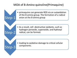 MOA of 8-Amino quinoline(Primaquine)
Step-1
• primaquine can generate ROS via an autoxidation
of the 8-amino group. The formation of a radical
anion at the 8-amino group
Step-2
• As a result, cell -destructive oxidants, such as
hydrogen peroxide, superoxide, and hydroxyl
radical, can be formed.
Step-3
• leading to oxidative damage to critical cellular
components.
 