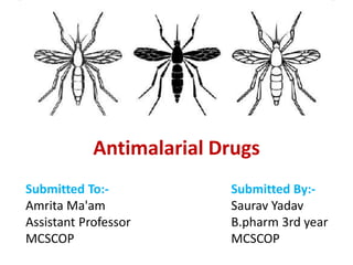 Antimalarial Drugs
SAURAVYADAV
Submitted To:-
Amrita Ma'am
Assistant Professor
MCSCOP
Submitted By:-
Saurav Yadav
B.pharm 3rd year
MCSCOP
Antimalarial Drugs
 