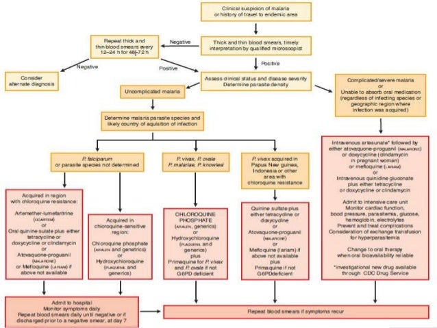antimalarial drugs antimalarial dosage chart