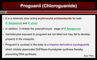 Proguanil (Chloroguanide)
● It is a relatively slow-acting erythrocytic schizontocide for both
P. falciparum and P. vivax
● In addition, it inhibits the preerythrocytic stage of P. falciparum
● Gametocytes exposed to proguanil are not killed but may fail to develop
properly in the mosquito.
● Proguanil is cyclized in the body to a triazine derivative (cycloguanil)
which inhibits plasmodial DHFRase-thymidylate synthase thereby
preventing DNA synthesis. Jegan Nadar
 