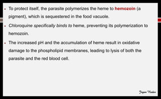 ● To protect itself, the parasite polymerizes the heme to hemozoin (a
pigment), which is sequestered in the food vacuole.
● Chloroquine specifically binds to heme, preventing its polymerization to
hemozoin.
● The increased pH and the accumulation of heme result in oxidative
damage to the phospholipid membranes, leading to lysis of both the
parasite and the red blood cell.
Jegan Nadar
 