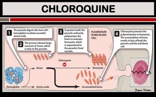 CHLOROQUINE
Jegan Nadar
 