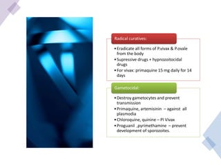 •Eradicate all forms of P.vivax & P.ovale
from the body
•Supressive drugs + hypnozoitocidal
drugs
•For vivax: primaquine 15 mg daily for 14
days
Radical curatives:
•Destroy gametocytes and prevent
transmission
•Primaquine, artemisinin – against all
plasmodia
•Chloroquine, quinine – Pl Vivax
•Proguanil ,pyrimethamine – prevent
development of sporozoites.
Gametocidal:
 