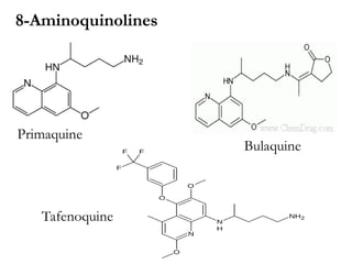 8-Aminoquinolines
Primaquine
Bulaquine
Tafenoquine
 