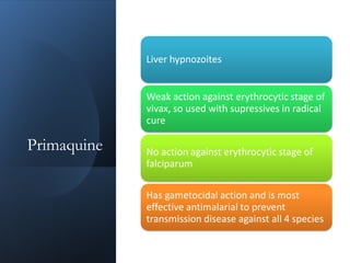 Primaquine
Liver hypnozoites
Weak action against erythrocytic stage of
vivax, so used with supressives in radical
cure
No action against erythrocytic stage of
falciparum
Has gametocidal action and is most
effective antimalarial to prevent
transmission disease against all 4 species
 