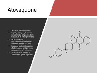 Atovaquone
• Synthetic napthoquinone
• Rapidly acting erythrocytic
schizonticide for plasmodium
falciparum & other plasmodia
• MOA: Collapses
mitochondrial membrane &
interferes ATP production
• Proguanil potentiates action
of atovaquone and prevents
development of resistance
• Also used in P. Jivoreci &
Toxoplasma gondii infections
 