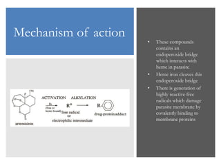 Mechanism of action
• These compounds
contains an
endoperoxide bridge
which interacts with
heme in parasite
• Heme iron cleaves this
endoperoxide bridge
• There is generation of
highly reactive free
radicals which damage
parasite membrane by
covalently binding to
membrane proteins
 
