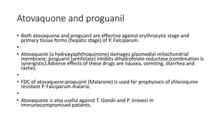 Atovaquone and proguanil
• Both atovaquone and proguanil are effective against erythrocytic stage and
primary tissue forms (hepatic stage) of P. Falciparum.
•
• Atovaquone (a hydroxyaphthoquinone) damages plasmodial mitochondrial
membrane; proguanil (antifolate) inhibits dihydrofolate reductase (combination is
synergistic).Adverse effects of these drugs are nausea, vomiting, diarrhea and
rashes.
•
• FDC of atovaquone-proguanil (Malarone) is used for prophylaxis of chloroquine
resistant P. Falciparum malaria.
•
• Atovaquone is also useful against T. Gondii and P. Jiroveci in
immunocompromised patients.
 