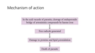 Mechanism of action
 
