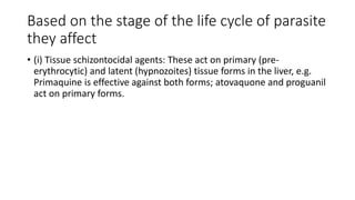 Based on the stage of the life cycle of parasite
they affect
• (i) Tissue schizontocidal agents: These act on primary (pre-
erythrocytic) and latent (hypnozoites) tissue forms in the liver, e.g.
Primaquine is effective against both forms; atovaquone and proguanil
act on primary forms.
 