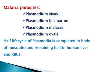 Malaria parasites:
Plasmodium vivax
Plasmodium falciparum

Plasmodium malarae
Plasmodium ovale
Half lifecycle of Plasmodia is completed in body
of mosquito and remaining half in human liver
and RBCs.

 