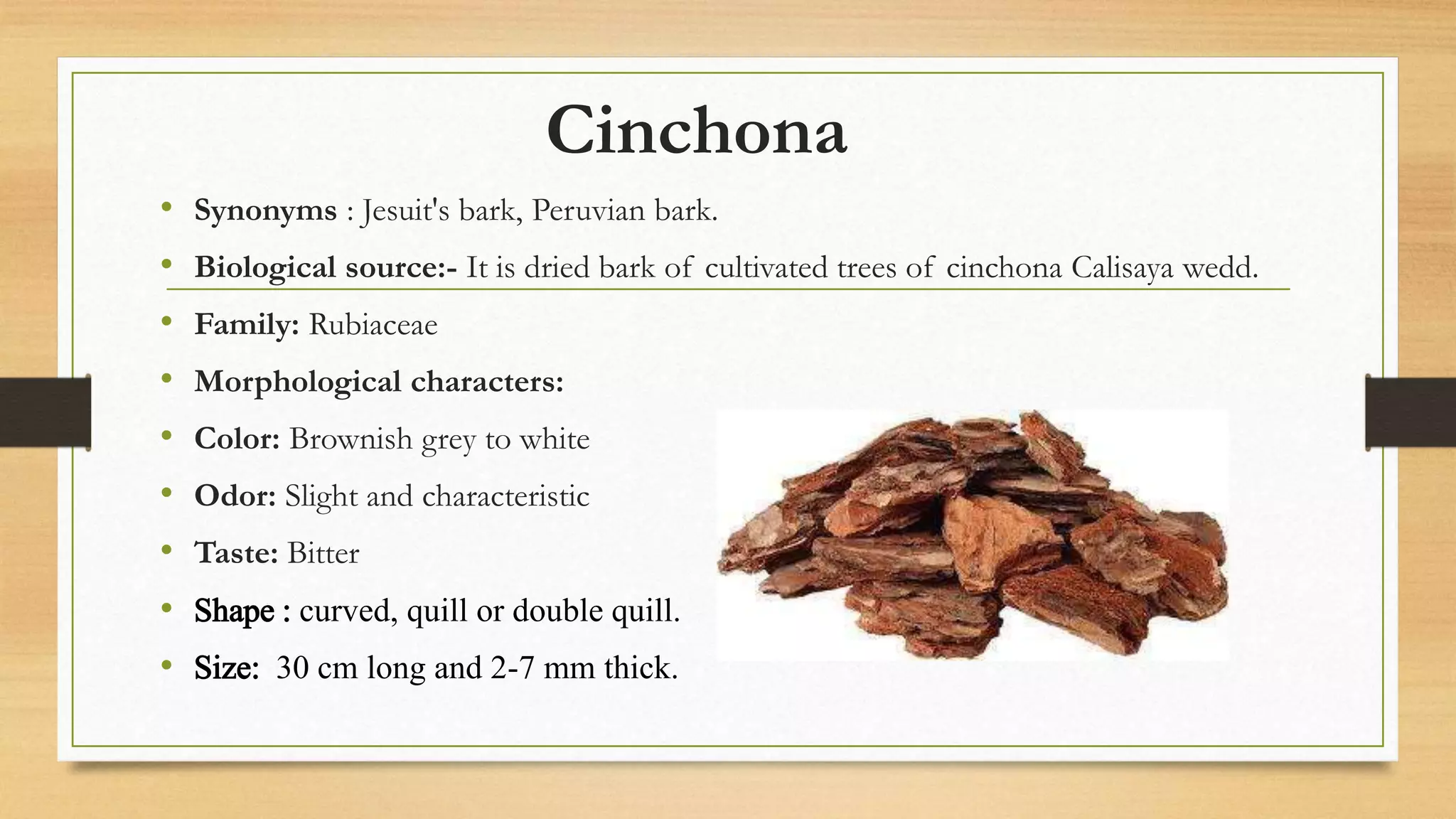 Cinchona
• Synonyms : Jesuit's bark, Peruvian bark.
• Biological source:- It is dried bark of cultivated trees of cinchona Calisaya wedd.
• Family: Rubiaceae
• Morphological characters:
• Color: Brownish grey to white
• Odor: Slight and characteristic
• Taste: Bitter
• Shape : curved, quill or double quill.
• Size: 30 cm long and 2-7 mm thick.
 