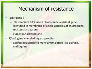 Mechanism of resistance
• pfcrt gene :
– Plasmodium falciparum chloroquine resistant gene
identified in membrane of acidic vacuoles of chloroquine
resistant falciparum
– Pumps out chloroquine
• Pfmdr gene encoded p-glycoprotein:
– Confers resistance to many antimalarials like quinine,
mefloquine
 