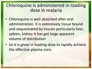 Chloroquine is administered in loading
dose in malaria
• Chloroquine is well absorbed after oral
administration. It is extensively tissue bound
and sequestrated by tissues particularly liver,
spleen, kidney it has got large apparent
volume of distribution
• So it is given in loading dose to rapidly achieve
the effective plasma conc.
 