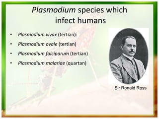 Plasmodium species which
infect humans
• Plasmodium vivax (tertian):
• Plasmodium ovale (tertian)
• Plasmodium falciparum (tertian)
• Plasmodium malariae (quartan)
Sir Ronald Ross
 