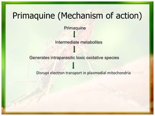 Primaquine
Intermediate metabolites
Generates intraparasitic toxic oxidative species
Disrupt electron transport in plasmodial mitochondria
Primaquine (Mechanism of action)
 