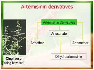 Artemisinin derivatives
Arteether Artemether
Artesunate
Qinghaosu
("ching-how-soo")
Artemisinin derivatives
Dihydroartemisinin
 