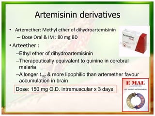 Artemisinin derivatives
• Artemether: Methyl ether of dihydroartemisinin
– Dose Oral & IM : 80 mg BD
• Arteether :
–Ethyl ether of dihydroartemisinin
–Therapeutically equivalent to quinine in cerebral
malaria
–A longer t1/2 & more lipophilic than artemether favour
accumulation in brain
Dose: 150 mg O.D. intramuscular x 3 days
 