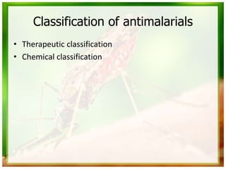 Classification of antimalarials
• Therapeutic classification
• Chemical classification
 