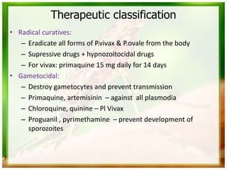 Therapeutic classification
• Radical curatives:
– Eradicate all forms of P.vivax & P.ovale from the body
– Supressive drugs + hypnozoitocidal drugs
– For vivax: primaquine 15 mg daily for 14 days
• Gametocidal:
– Destroy gametocytes and prevent transmission
– Primaquine, artemisinin – against all plasmodia
– Chloroquine, quinine – Pl Vivax
– Proguanil , pyrimethamine – prevent development of
sporozoites
 