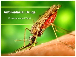 Antimalarial Drugs
Dr Naser Ashraf Tadvi
 