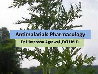 Antimalarials Pharmacology
Dr.Himanshu Agrawal ,DCH.M.D
 